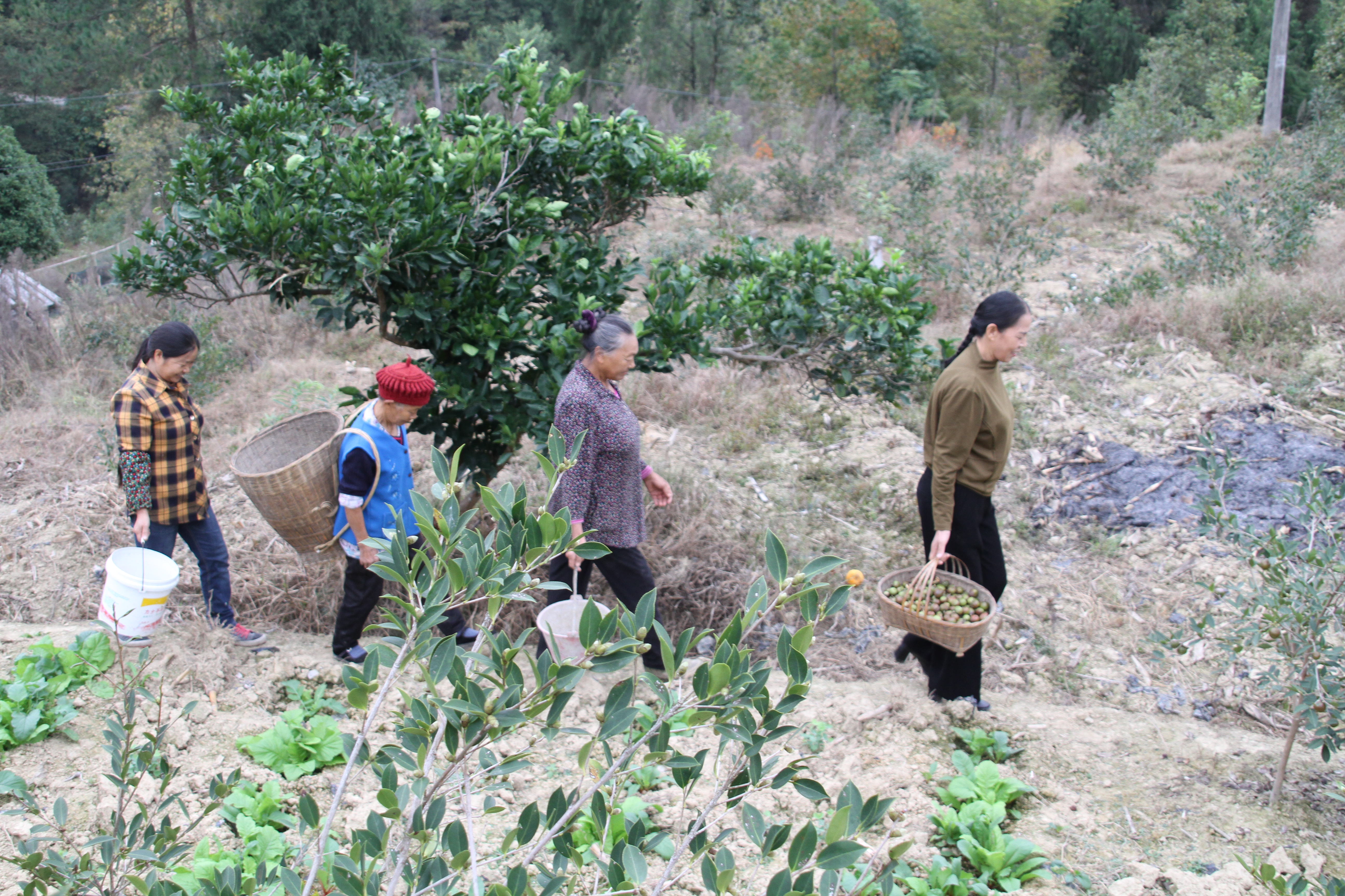 附近村民在基地务工.jpg